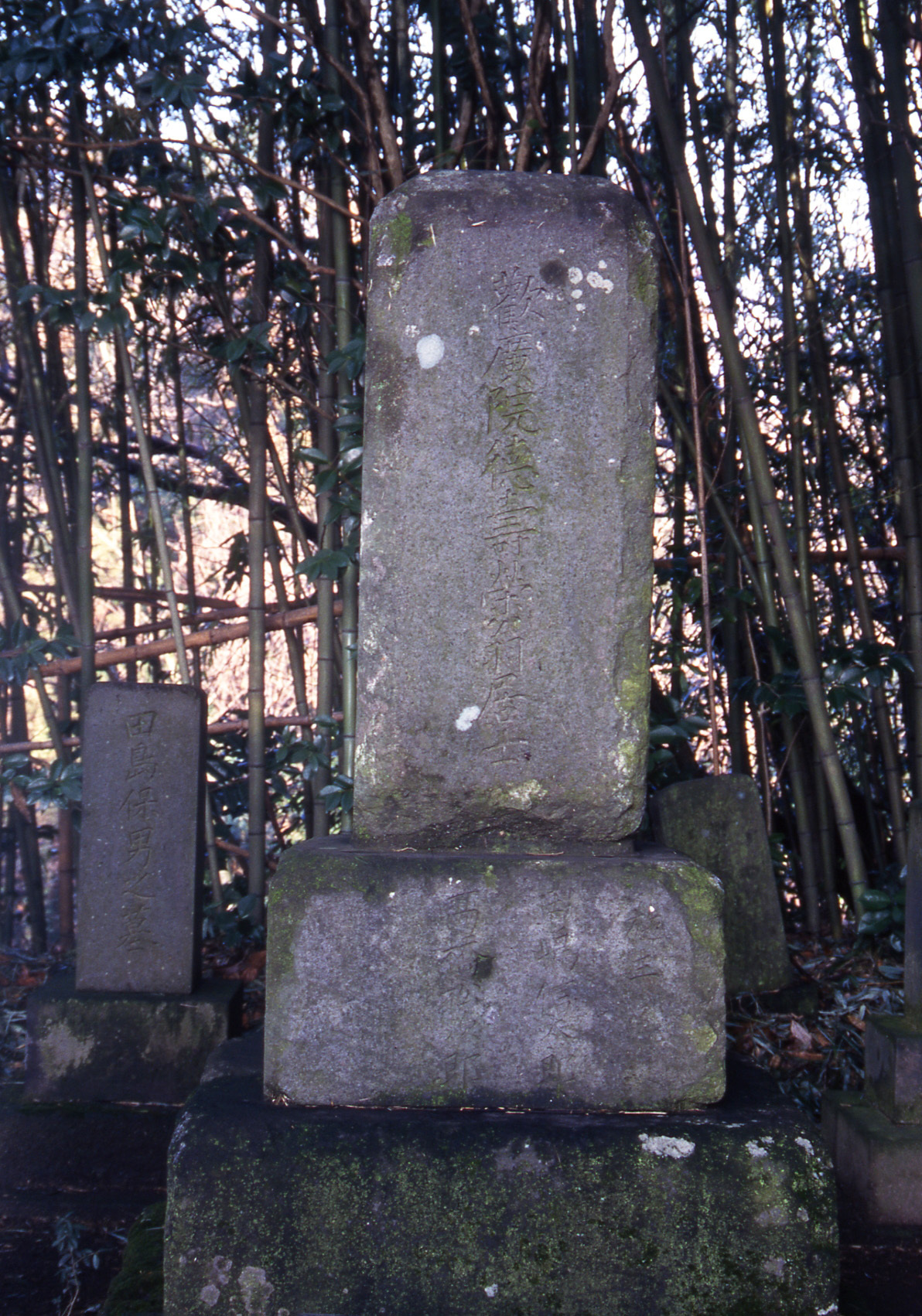 大前田栄五郎 上州系三親分 のひとりはキレやすい悪漢だった 歴史人