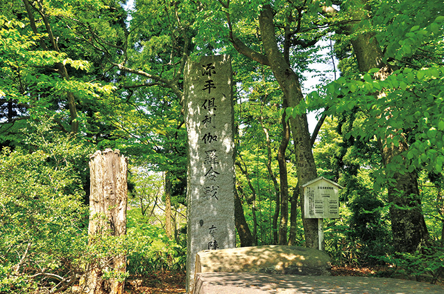 平家軍が篠原の戦いで大敗を喫した理由 歴史人