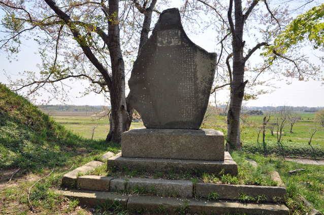 「八田知家＝源頼朝の弟」説の真偽を探る ｜ 歴史人