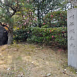 実際は「冤罪」だった水野信元の処刑