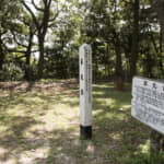 家康自ら仲裁を試みた信康と五徳の「夫婦仲」