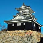徳川家康が築山殿・信康の処刑を決断したのは徳川家臣団のため⁉