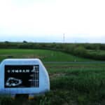 戦国関東の覇権を争った古河公方の城・古河城【茨城県古河市】