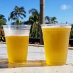 ビールをはじめて飲んだ日本人は誰？ その感想は？【悪しき物にて何の味わいもない】