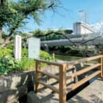女好きの酒飲みだった愚将軍⁉平穏な社会を築いた「守成の人」!?評価が分かれる9代将軍・徳川家重とは⁉