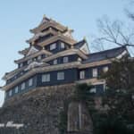 「桃太郎」や「黒い天守」で有名な岡山。その城と町の基礎をつくった戦国大名はどんな人？