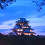 徳川家康は本当に豊臣家を滅ぼそうとしたのか⁉