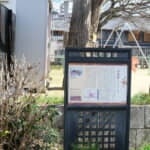 「光源氏」のモデルの一人とされる藤原伊周