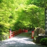 娘からひ孫まで一族の栄華を見届けた藤原穆子