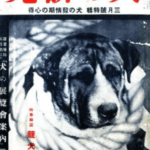 日本における「愛犬雑誌」の功績とその歴史　人と犬の暮らしを支えた情報源のこれからはどうなる？