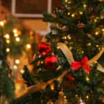 新宿で「クリスマスツリーに仕込まれた爆弾」が爆発し、12人が負傷した「無差別テロ事件」とは？　民間人を巻き込み、支持を失った「過激派」の暗黒史