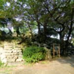信長から信頼されながら「疑念」により討たれた津田信澄