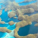南海の楽園パラオに眠る「戦没者のご遺骨」ペリリュー島、アンガウル島、激戦の島々
