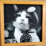 「猫の駅長」と「鬼滅の刃」聖地巡礼の旅　ユニークな猫の電車が走る貴志川線で甘露寺へ