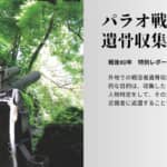 「パラオ戦没者遺骨収集のいま」戦後80年特別連載