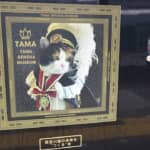 神がかり的に沿線を盛り上げた「たま大明神」が祀られている神社　たま神社／和歌山県紀の川市