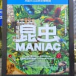 昆虫って凄い！ 夏の自然史博物館、びっくり特別展「昆虫 MANIAC」 博物館前の古代の官道は、万葉の古里を見守る巨大灯篭へと続く ・・・