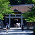 父の仇・武田信玄の側室となった「諏訪御料人（湖衣姫）」は夫を愛したのか？　諏訪氏の血が流れる勝頼の最期