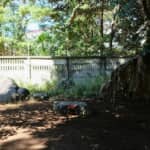 赤穂浪士の切腹は世論への忖度だった？　『忠臣蔵』のモデル「赤穂事件」で露呈した将軍・徳川綱吉の“ダブスタ”