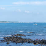 「台湾有事のトリガー」になるのは何か？　中国が警戒するアメリカの「介入の意志」