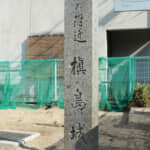 信長の妹婿である細川信良（昭元）が有した「権威」