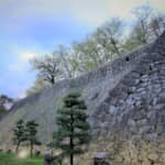 甲斐源氏を祖先に持ち、戦国時代には北奥羽の覇者となった【南部家】の歴史とは？【戦国武将のルーツをたどる】