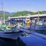 「日本一の水軍」と呼ばれ、伊勢志摩の内海一帯を支配！無敵の鉄甲船を率いて戦国の世を席巻した海賊頭「九鬼家」の歴史とは？【戦国武将のルーツをたどる】