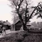 一撃必殺の薩摩「示現流」は本当に最強なのか！？　生麦事件と西南戦争での薩摩軍の活躍から分析する